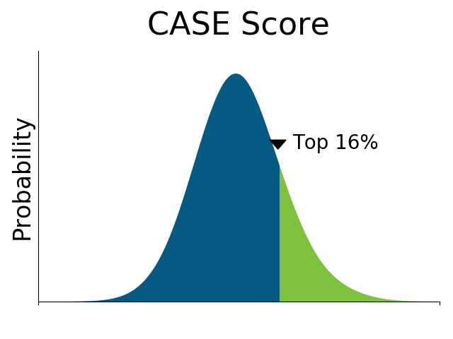 CASE Score